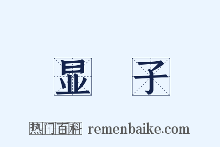 显騃子是什么意思的图片